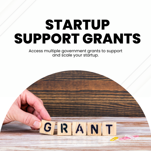 Startup Support Grants